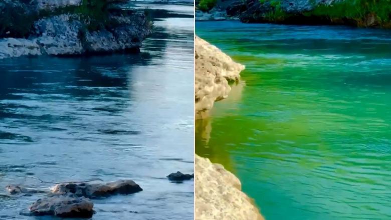 Zyra e Administrimit të Parkut Kombëtar të Vjosës nis punën, Rama: Do të mbrohet si mbretëresha e lumenjve të Europës Zyra e Administrimit të Parkut Kombëtar të Vjosës nis punën, Rama: Do të mbrohet si mbretëresha e lumenjve të Europës