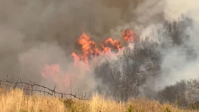 VIDEO/ Zjarr në Kaninë-Delvinë-Borsh! Në Sherishtë i afrohet landfillit, evakuohen 4 familje Në flakë Parku Kombëtar i Prespës dhe Qafa e Buallit VIDEO/ Zjarr në Kaninë-Delvinë-Borsh! Në Sherishtë i afrohet landfillit, evakuohen 4 familje Në flakë Parku Kombëtar i Prespës dhe Qafa e Buallit