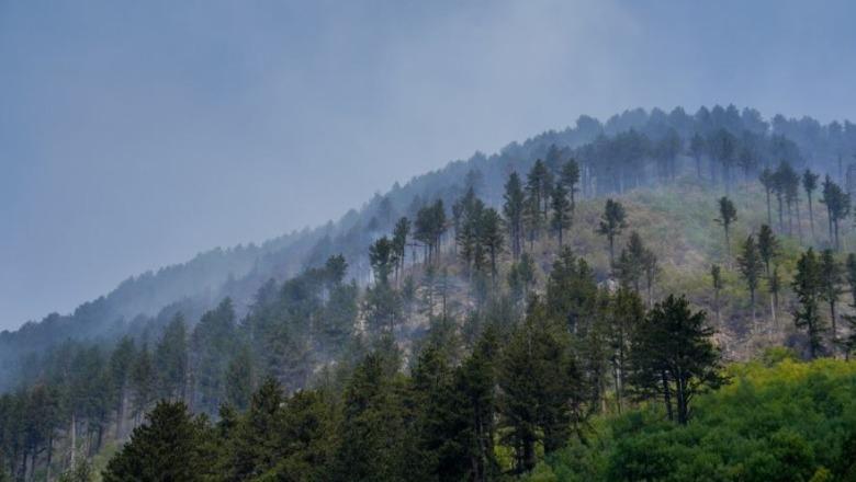 Zjarret masive përfshijnë edhe rrethinat e Prizrenit, digjen pyje, kullota dhe disa kafshë! (Video)