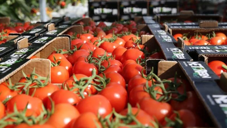 Ngrihet Task-Forca nga Administrata Tatimore, kontroll tregut bujqësor e blegtoral për faturat fiskale