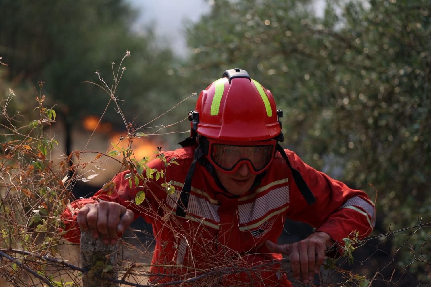 Kryeministri Rama, mirënjohjeje dhe mbështetje për ata që janë në vijën e parë të betejës me zjarrin Kryeministri Rama, mirënjohjeje dhe mbështetje për ata që janë në vijën e parë të betejës me zjarrin