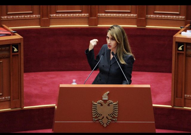 Nga një nismë e refuzuar në Tiranë në një Standart të Ri Europian: Ligji i ri i BE-së mbron fjalën, por jo  fyerjen dhe shpifjen