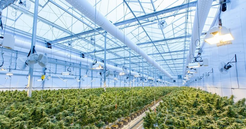 E krijuar vetëm para 3 muajësh! Qeveria miraton vendimin: Kompania “ALBTrace Co” do të gjurmojë kanabisin mjekësor në Shqipëri E krijuar vetëm para 3 muajësh! Qeveria miraton vendimin: Kompania “ALBTrace Co” do të gjurmojë kanabisin mjekësor në Shqipëri