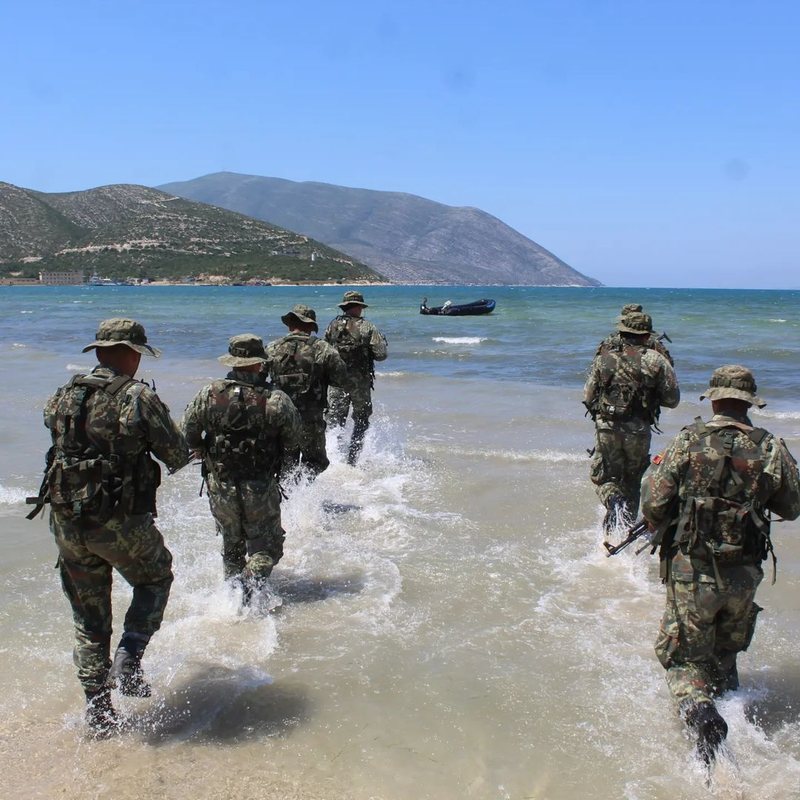 Djemtë tanë (nuk) shkojnë ushtarë…