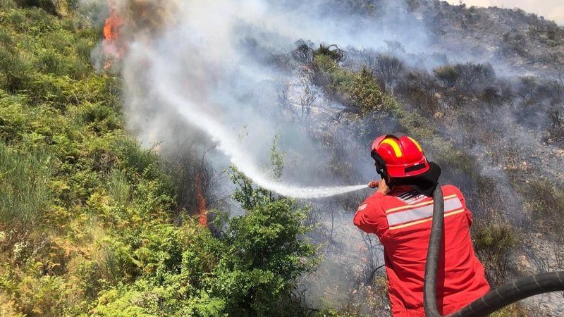 Zjarret përfshijnë Greqinë, evakuime pranë Athinës dhe në disa ishuj Zjarret përfshijnë Greqinë, evakuime pranë Athinës dhe në disa ishuj