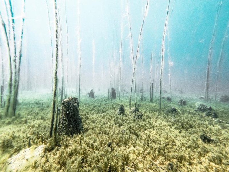 BBC: Lini, vendbanimi më i vjetër liqenor në Europë BBC: Lini, vendbanimi më i vjetër liqenor në Europë