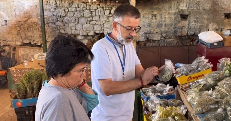 Bardha e “rigonit” që u bë virale në rrjet pyet Ramën: Ku ta gjej faturën se Muçi s’më dha zgjidhje? Bardha e “rigonit” që u bë virale në rrjet pyet Ramën: Ku ta gjej faturën se Muçi s’më dha zgjidhje?