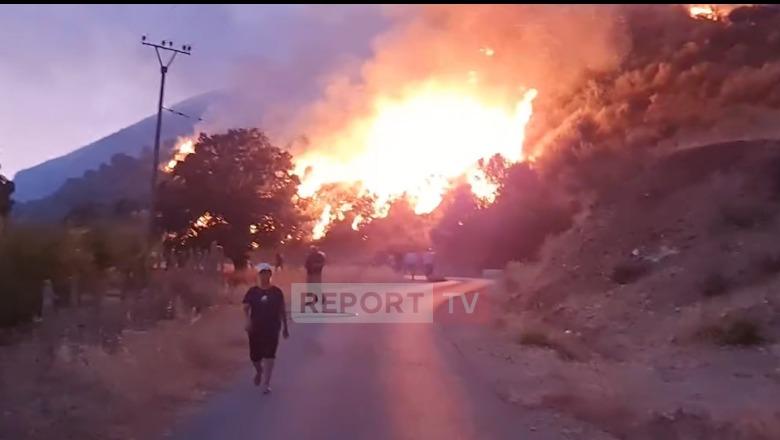 Zjarr në fshatrat Dhivër dhe Shën Ndre, evakuohen banorët, ndërhyrje intensive gjatë natës Zjarr në fshatrat Dhivër dhe Shën Ndre, evakuohen banorët, ndërhyrje intensive gjatë natës