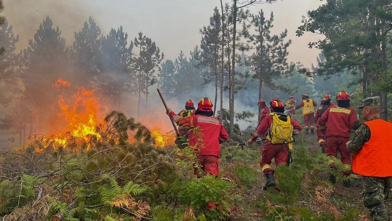 Mekanizmi i BE: Zjarret kanë djegur 55 154 hektarë sipërfaqe deri më tani në Shqipëri! “Rekord të zi” në rajon për vitin 2025, por nuk thyhet  rekordi i qeverisë  Berisha ë vitin 2007 me 127.491 hektarë!