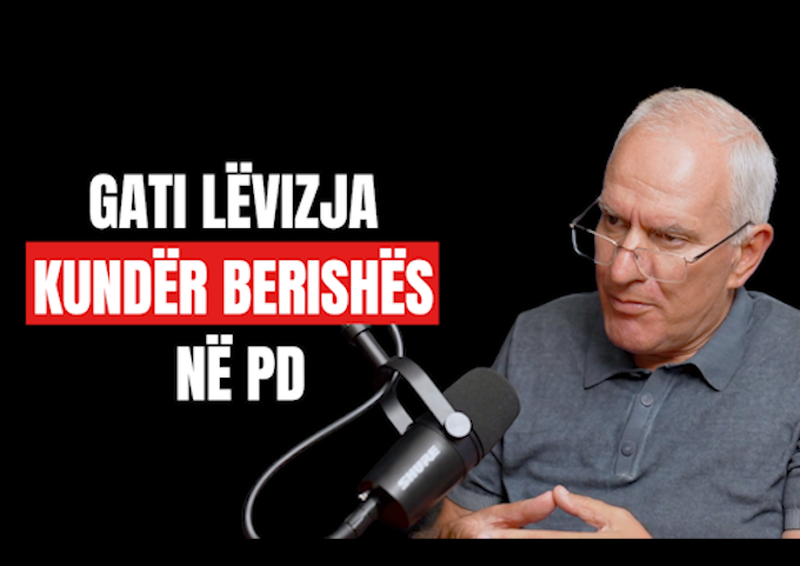 Kush janë “kolonelët” dhe “gjenerali” që po drejtojnë lëvizjen kundër Berishës në PD?