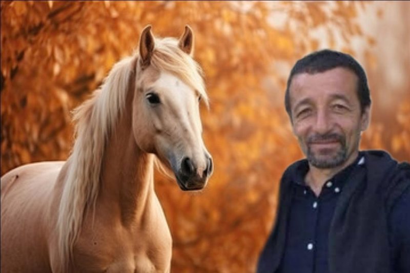 Kush është vrasësi i kuajve në Llogara, Selfo Merkohitoj? Kush është vrasësi i kuajve në Llogara, Selfo Merkohitoj?