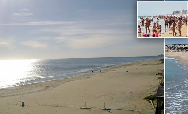 “Askush të mos hyjë në det!” Mbyllet plazhi në Spanjë shfaqet gjallesa e çuditshme (Foto) “Askush të mos hyjë në det!” Mbyllet plazhi në Spanjë shfaqet gjallesa e çuditshme (Foto)