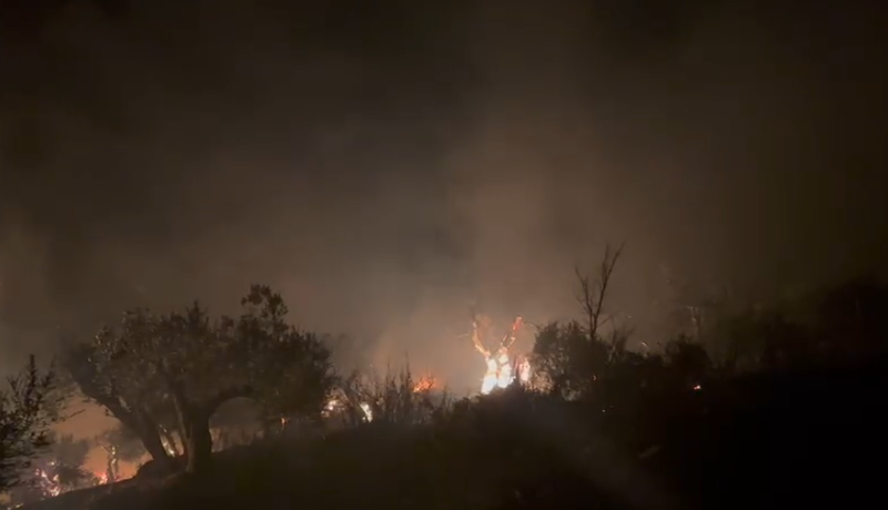 Zjarret në Vlorë, policia: I vuri një grup kriminal i organizuar gjatë natës