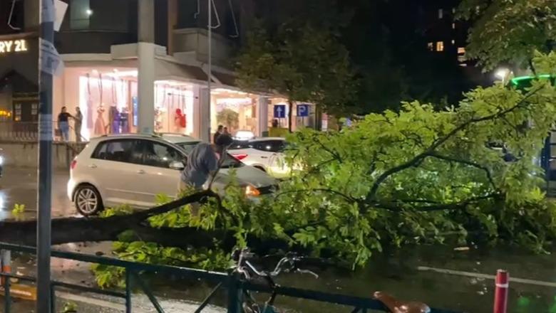 Tiranë/ Era e fortë thyen degën e pemës, bllokohet pjesërisht qarkullimi në Rrugën e Elbasanit (Video) Tiranë/ Era e fortë thyen degën e pemës, bllokohet pjesërisht qarkullimi në Rrugën e Elbasanit (Video)
