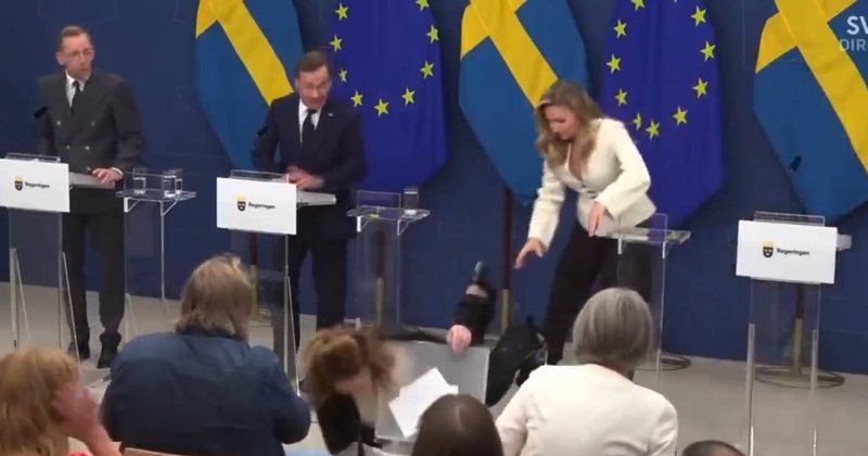VIDEO/ Ministrja suedeze përplaset në tokë gjatë konferencë për shtyp VIDEO/ Ministrja suedeze përplaset në tokë gjatë konferencë për shtyp