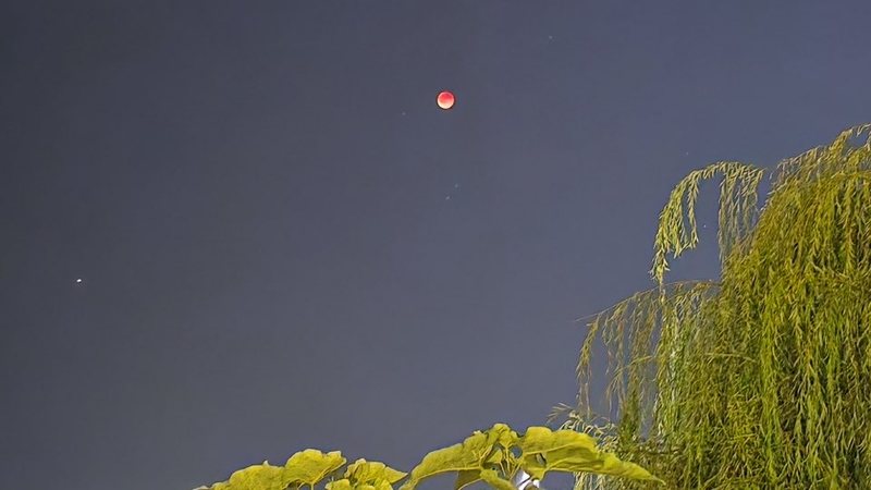 Sot hëna e përgjakur, fenomeni shfaqet edhe mbi qytetet e Shqipërisë, Rama ndan pamjet Sot hëna e përgjakur, fenomeni shfaqet edhe mbi qytetet e Shqipërisë, Rama ndan pamjet