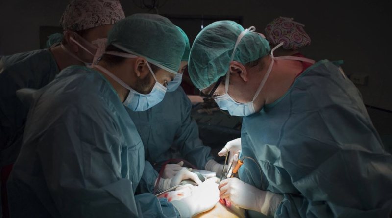 Transplanti drejt pavdekësisë? Çfarë thonë shkencëtarët mes debatit të ndezur nga Putin dhe Xi