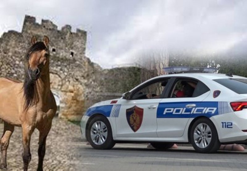 Kishte shkuar si turist në Berat, 42-vjeçari nga Tirana u vra pas konfliktit për një foto me kal: U godit me thikë në sy të fëmijëve, gruas dhe nënës Kishte shkuar si turist në Berat, 42-vjeçari nga Tirana u vra pas konfliktit për një foto me kal: U godit me thikë në sy të fëmijëve, gruas dhe nënës