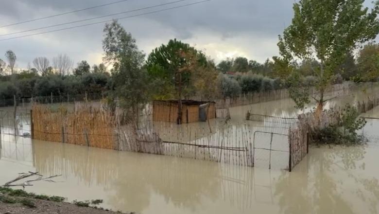 Moti i keq në Shqipëri/ Përmirësim i situatës në Fier, ulet niveli i Vjosës dhe Semanit, tërhiqen ujërat nga tokat bujqësore Moti i keq në Shqipëri/ Përmirësim i situatës në Fier, ulet niveli i Vjosës dhe Semanit, tërhiqen ujërat nga tokat bujqësore