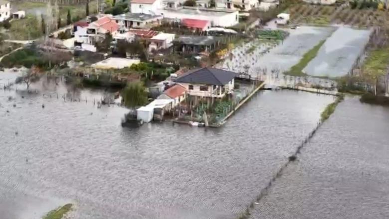 Moti i keq/ Dëme në 7 qarqe të vendit: Mbi 1000 banesa të përmbytura, parandalohet një katastrofë në Shkodër Moti i keq/ Dëme në 7 qarqe të vendit: Mbi 1000 banesa të përmbytura, parandalohet një katastrofë në Shkodër