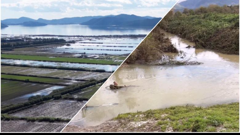 Përmbytjet/ 700 krerë bagëti e 2 mijë shpendë u mbytën në Sarandë! Nis verfikimi dëmeve në Lezhë, 300 ha ende në ujë Përmbytjet/ 700 krerë bagëti e 2 mijë shpendë u mbytën në Sarandë! Nis verfikimi dëmeve në Lezhë, 300 ha ende në ujë