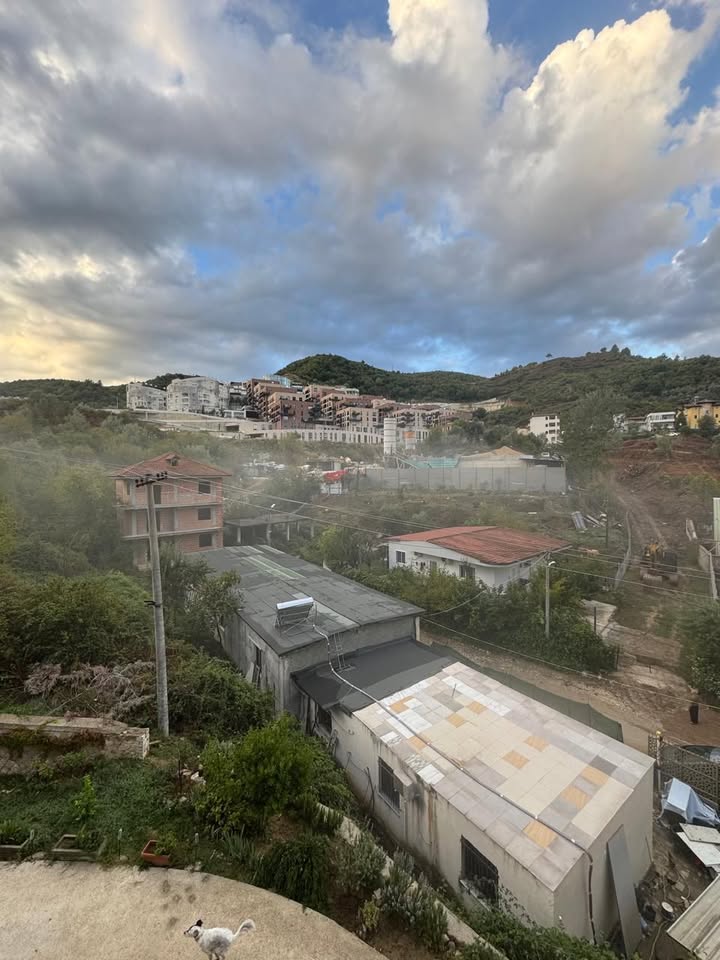 Tymi dhe gazrat e nyjes së betonit të Gentian Sulës mes pallateve një krim me leje ndaj qytetarëve të zonës