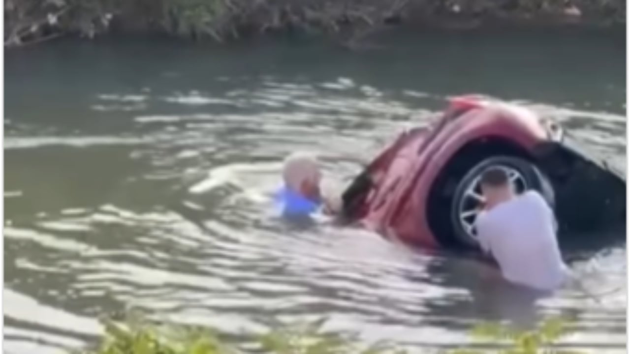 Meloni vlerëson shqiptarin: Kryeministrja italiane shkruan për Elton Zefi (Video) Meloni vlerëson shqiptarin: Kryeministrja italiane shkruan për Elton Zefi (Video)