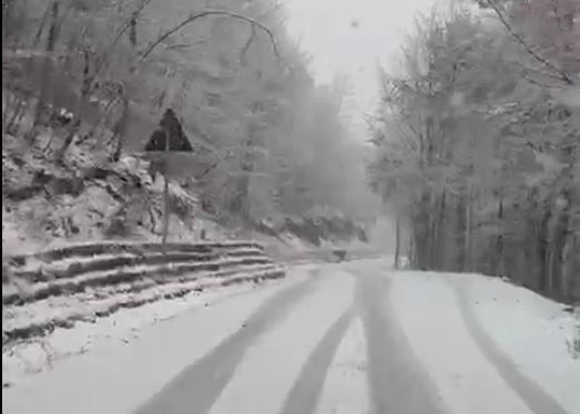 VIDEO/ Vendi i përfshirë nga shi i dendur, në Shkodër nis dëbora VIDEO/ Vendi i përfshirë nga shi i dendur, në Shkodër nis dëbora