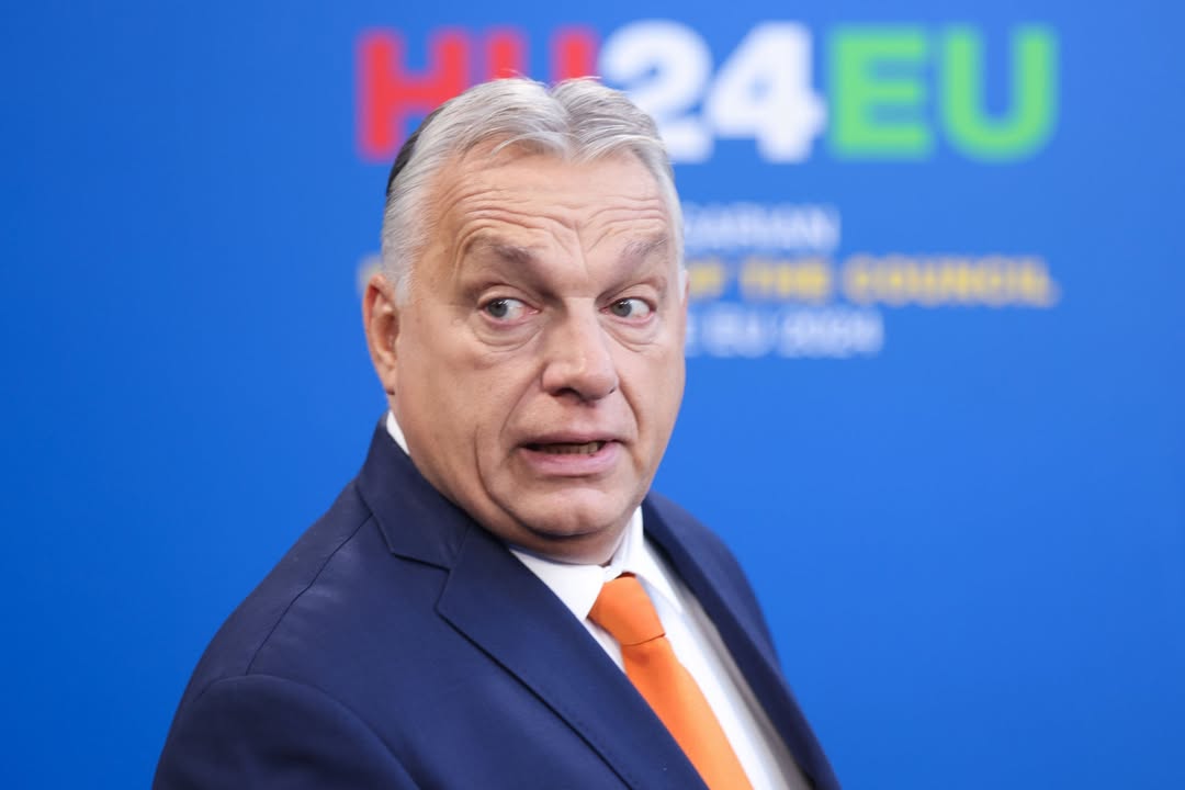 Deklarata e Orban: Rusia nuk u mposht nga Napoleoni e Hitleri, jo më nga Kaja Kallas