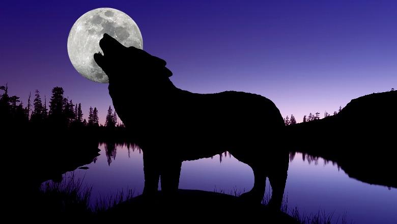 Viti i Ri nis me “spektakël qiellor”! Sonte mos harroni të shihni “Hënën e Ujkut”! Cilat shenja të horoskopit do të preken nga ky fenomen