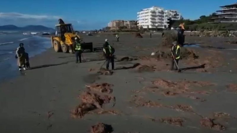 Në Vlorë vlonjatët shijojnë bukuritë, pastrimin e plazhit e bëjnë të huajt! Ja mesazhi që japin qytetarët e huaj që kanë zgjedhur të jetojnë në qytet
