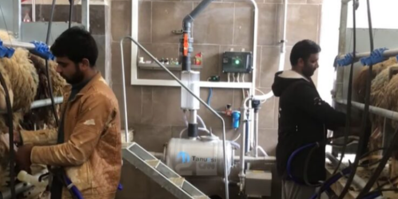 Nga India, Filipinet, Egjipti e deri Mianmar: “Bum” aplikimesh nga vendet aziatike për leje qëndrimi në Shqipëri