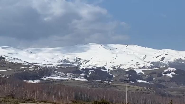 Dimër “kokëfortë”! Vijnë “plakat”… pranverë me borë dhe rënie temperaturash