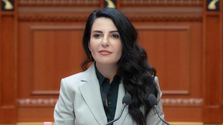 I bllokuan pasaportën, caktohet relatori në Gjykatën e Lartë për Ballukun dhe dy ish-vartësit e saj