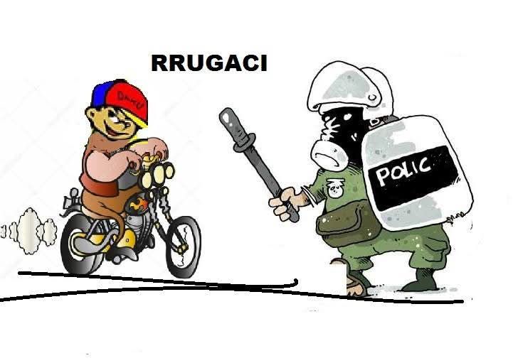 Mirënjohje për rrugaçin që nuk i preu pemët