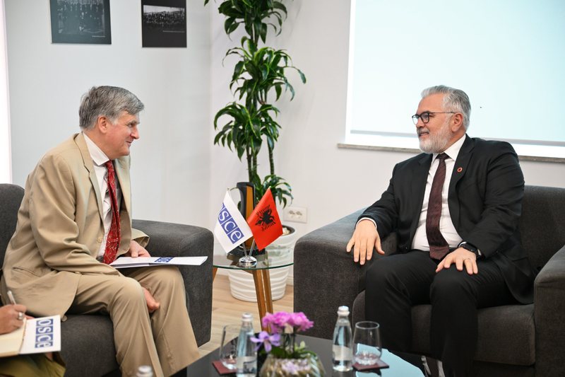 OSBE: Përdorimi i tepruar i paraburgimit në Shqipëri është problem, të gatshëm t’ju ndihmojmë!