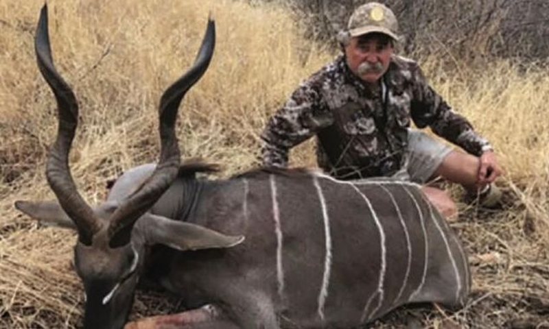 U shkel nga një tufë elefantësh, milioneri amerikan humb jetën në Afrikë