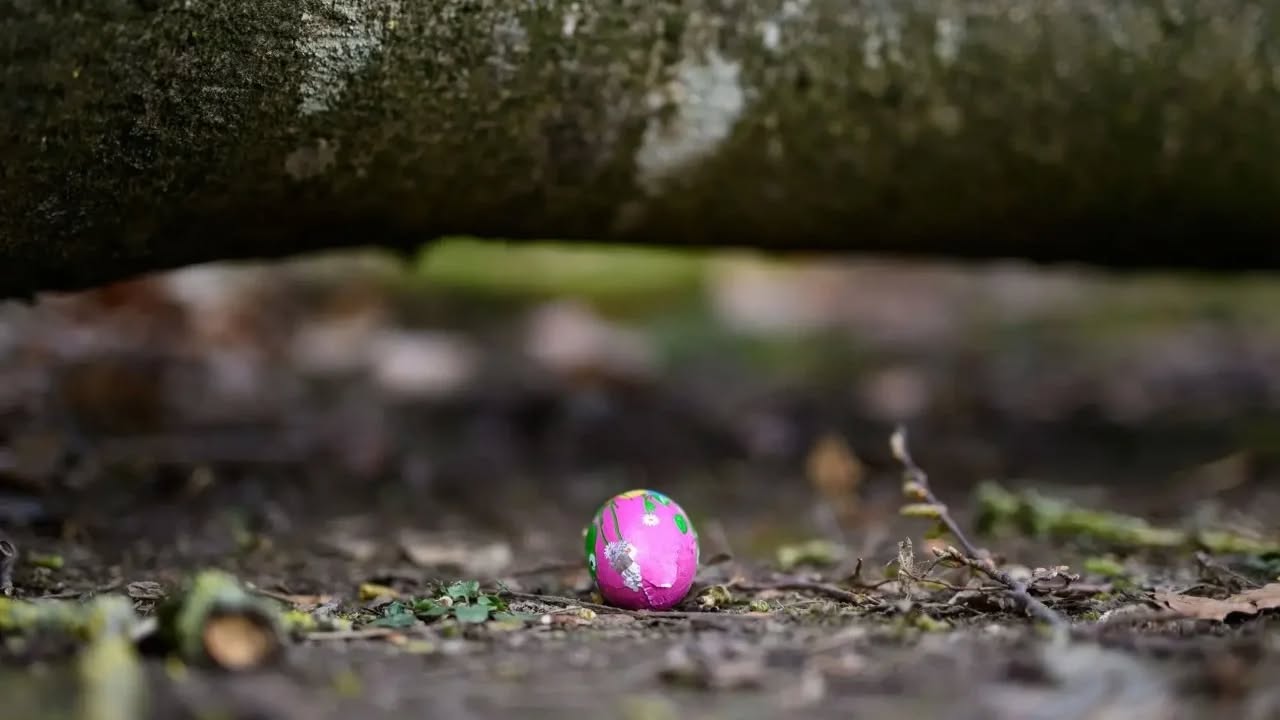 Tragjedi në ditën e Pashkëve në Gjermani/ Pema rrëzohet nga era e fortë, tre persona humbin jetën, mes tyre një foshnje