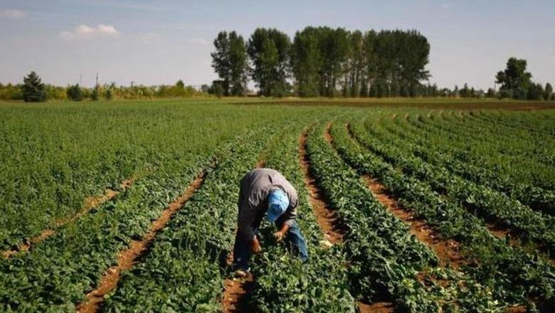 Skandali me fondet e BE-së në Greqi: 22 persona vihen nën akuzë për subvencionet e rreme bujqësore, dëmi financiar arrin në miliona euro Skandali me fondet e BE-së në Greqi: 22 persona vihen nën akuzë për subvencionet e rreme bujqësore, dëmi financiar arrin në miliona euro