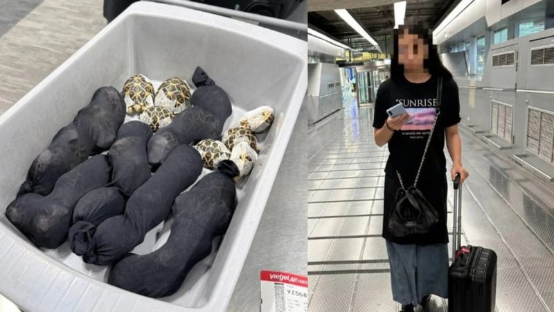 Fshehu në rrobat e saj breshka me vlerë 9000 dollarë, e pëson keq 19-vjeçarja
