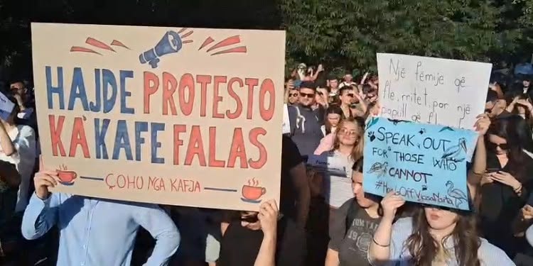Sondazhisti Eduart Zaloshnja, i ftuar në Real Story, zbuloi përgjigjen e sondazhit sa i takon ndërtimit të resortit turistik në Zvërnec.
