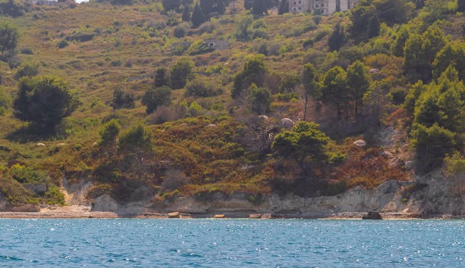 Rama nga Vlora: Nëse do shisnim Shqipërinë, Sazani do ishte i privatizuar apo jo?!  Vendi është p*rdhunuar shumë kohë para se të më jepnit besimin mua