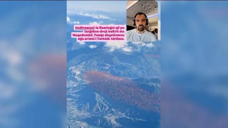 Rama ndan videon AI me flamingot që ikin drejt Maqedonisë së Veriut: Duhet të jesh idiot të sajosh të tilla gjëra! Flamengot të trembur nga britmat e protestuesve
 se  në Zvërnecin nuk ka akoma pro…