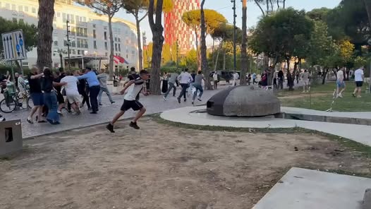 Momenti kur protestuesit sulmojnë djalin e ish deputetit të PS, Paulin Sterkaj dhe qenin e tij. Martini largohet me vrap drejt ish-Bllokut. Video LSA