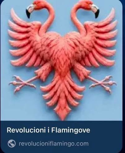 Lamtumirë, Zvërnec!