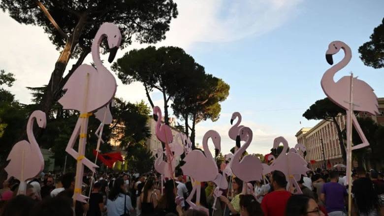 Fred Abrahams: Shqipëria, kur flamingot fluturojnë