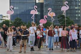 Rama pas revolucionit “flamingo”
