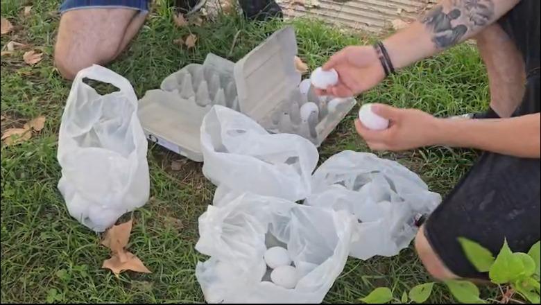 Sot Kuvend: “Vezaxhijtë” e PD-së si protestues mblidhen jashtë godinës! Deputetët e Berishës nuk do shkojnë në seancë