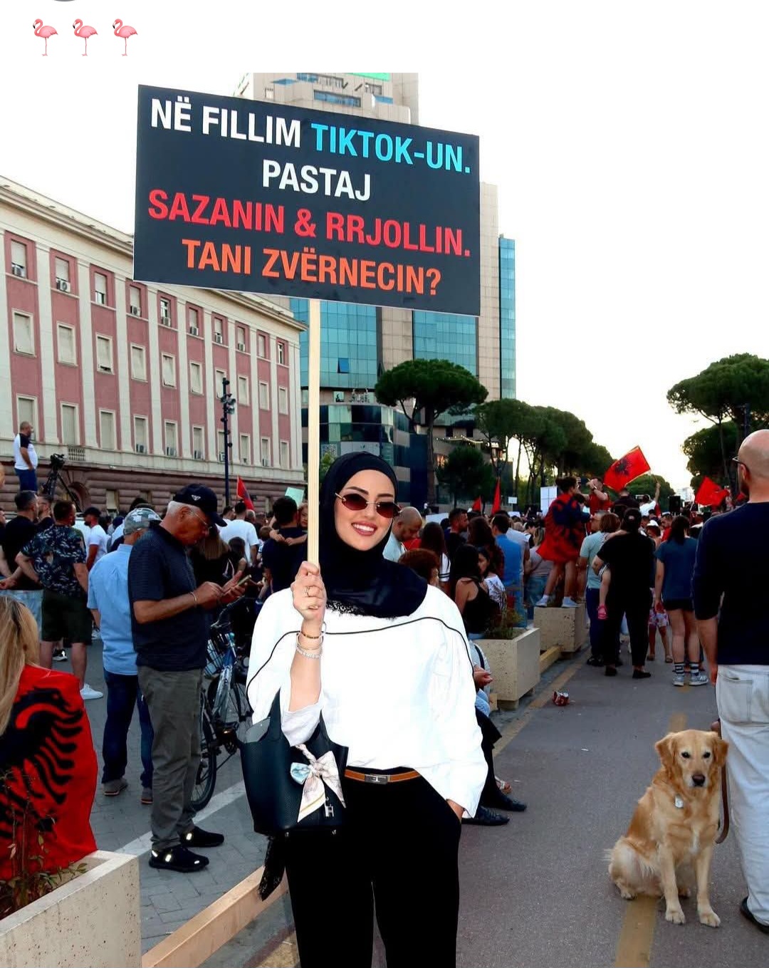 Fotot/ Influenceret e “pelikanit kaçurrel” në protestë… gjenerojnë miliona sipas deklaratave të tyre! A do veprojnë tatimet, krimi ekonomik dhe Prokuroria per evazion, mashtrim dhe pastrim parash? Fotot/ Influenceret e “pelikanit kaçurrel” në protestë… gjenerojnë miliona sipas deklaratave të tyre! A do veprojnë tatimet, krimi ekonomik dhe Prokuroria per evazion, mashtrim dhe pastrim parash?