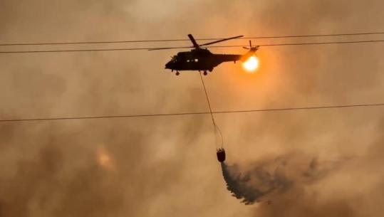 Pamje me dron/ Flakët në Gojan të Pukës, 3 helikopterë në terren! Evakuohen tre familje! Zjarri djeg edhe masivin pyjor në Milot, banesat në rrezik Pamje me dron/ Flakët në Gojan të Pukës, 3 helikopterë në terren! Evakuohen tre familje! Zjarri djeg edhe masivin pyjor në Milot, banesat në rrezik